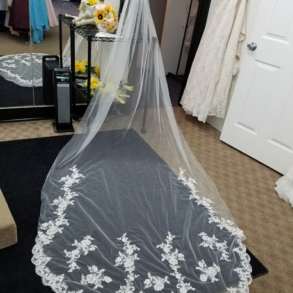 VEILS